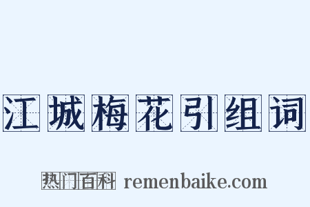江城梅花引组词是什么意思的图片